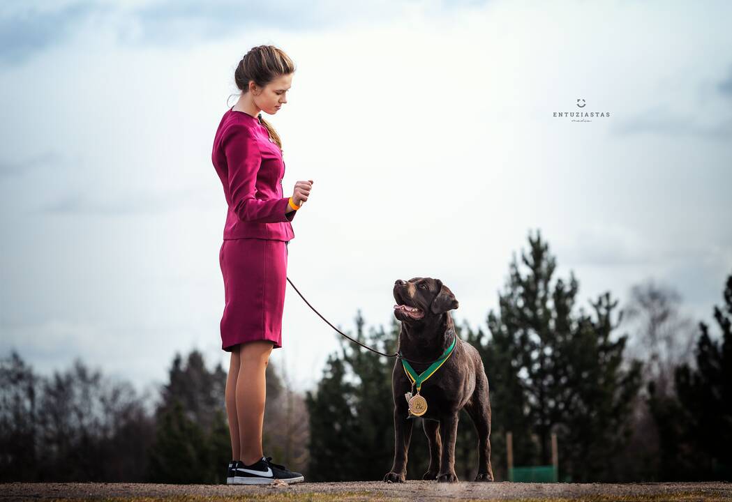 Atokvėpis: Naujosios Škotijos retriveris Wiskas ir labradoro retriveris Dexteris Druskininkų tarptautinėje šunų parodoje su savo vedle A.Daukševičiūte teisėjų neliko nepastebėti. 