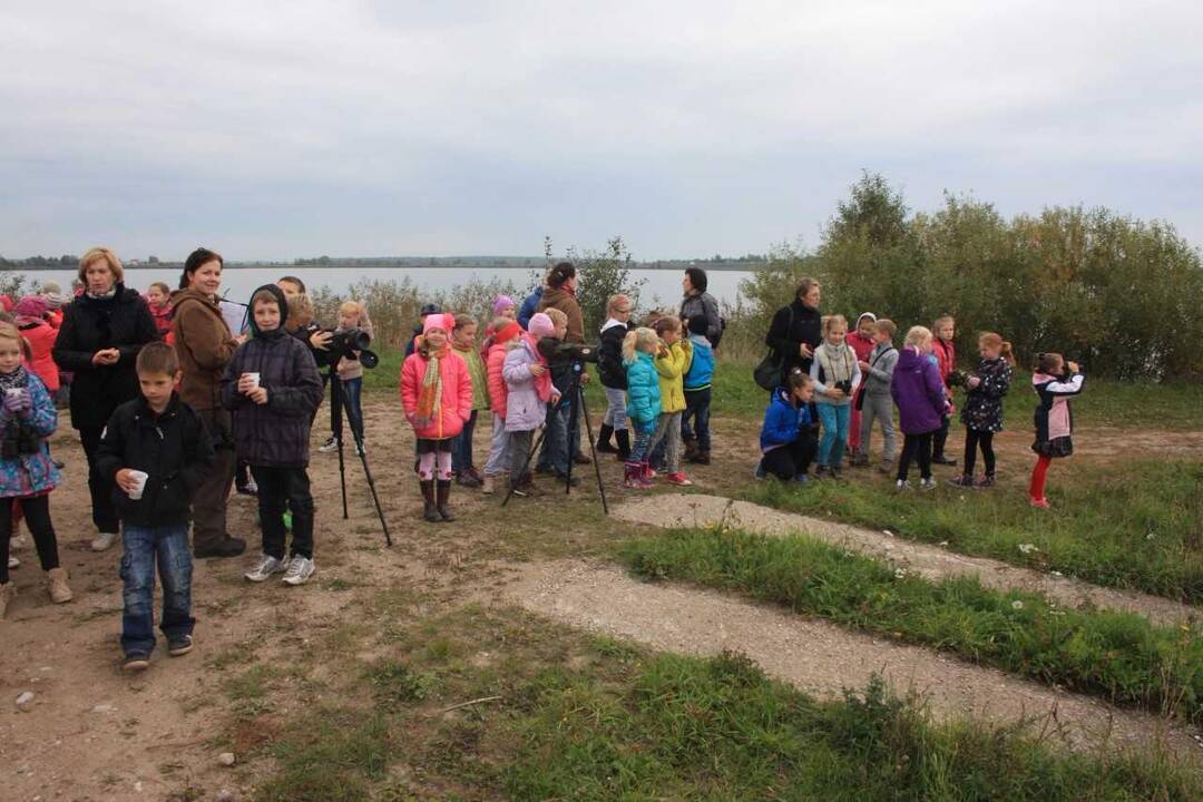Palydėti sparnuočių kviečia į paukščių rojų