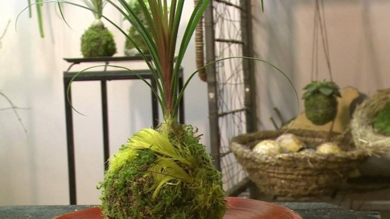 Velykų stalą siūlo papuošti japoniška samanų kompozicija 