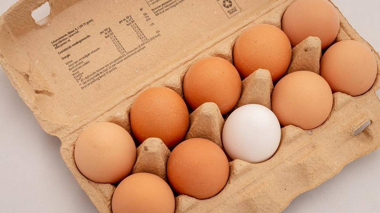 Lenkijoje atšaukiama daugiau kaip 4 mln. antibiotikais užterštų kiaušinių