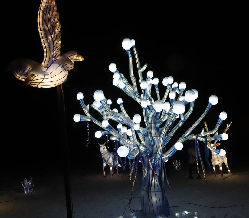 „1000 šviesų“ festivalis Rumšiškėse
