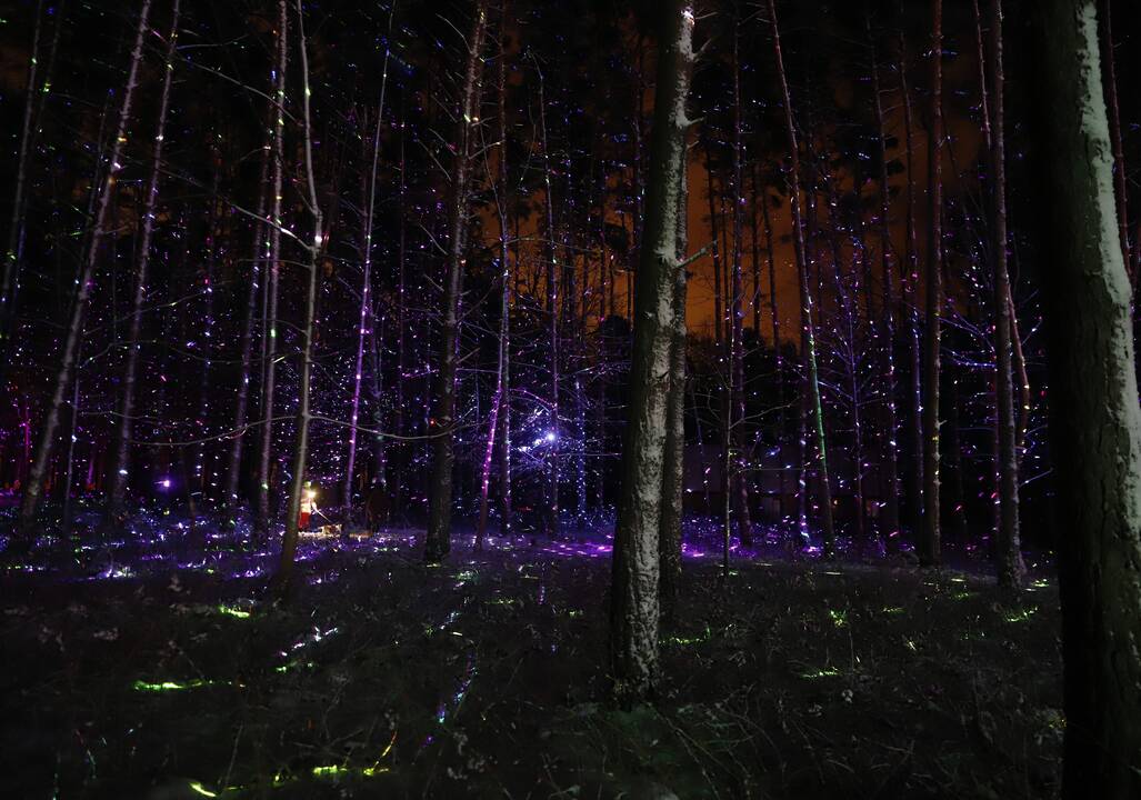 „1000 šviesų“ festivalis Rumšiškėse