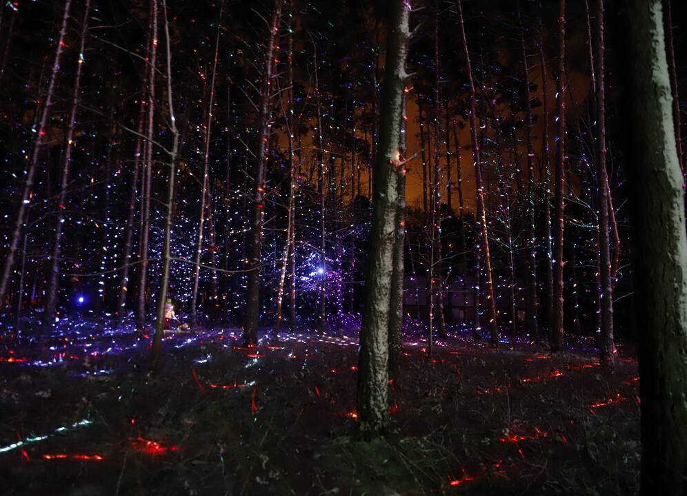 „1000 šviesų“ festivalis Rumšiškėse