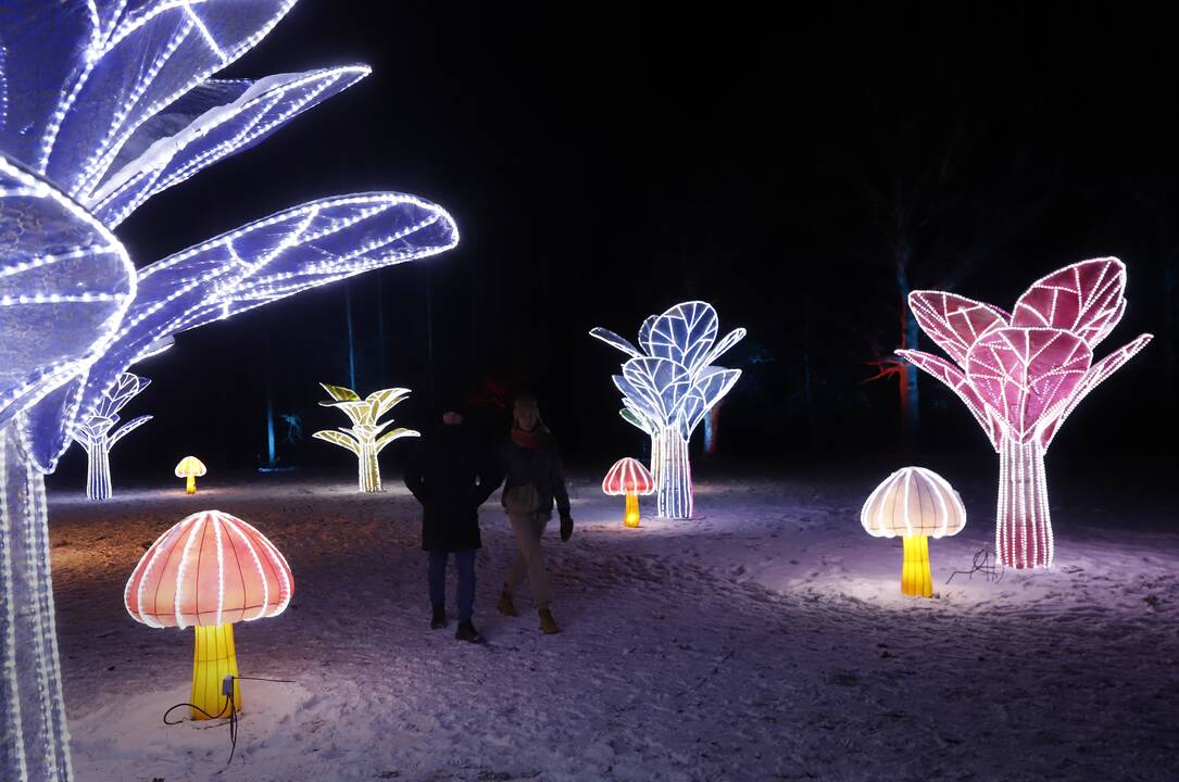 „1000 šviesų“ festivalis Rumšiškėse