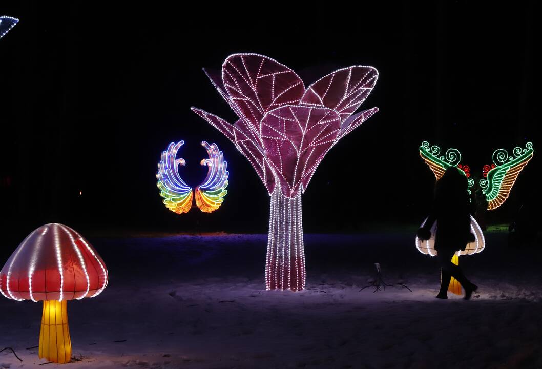 „1000 šviesų“ festivalis Rumšiškėse