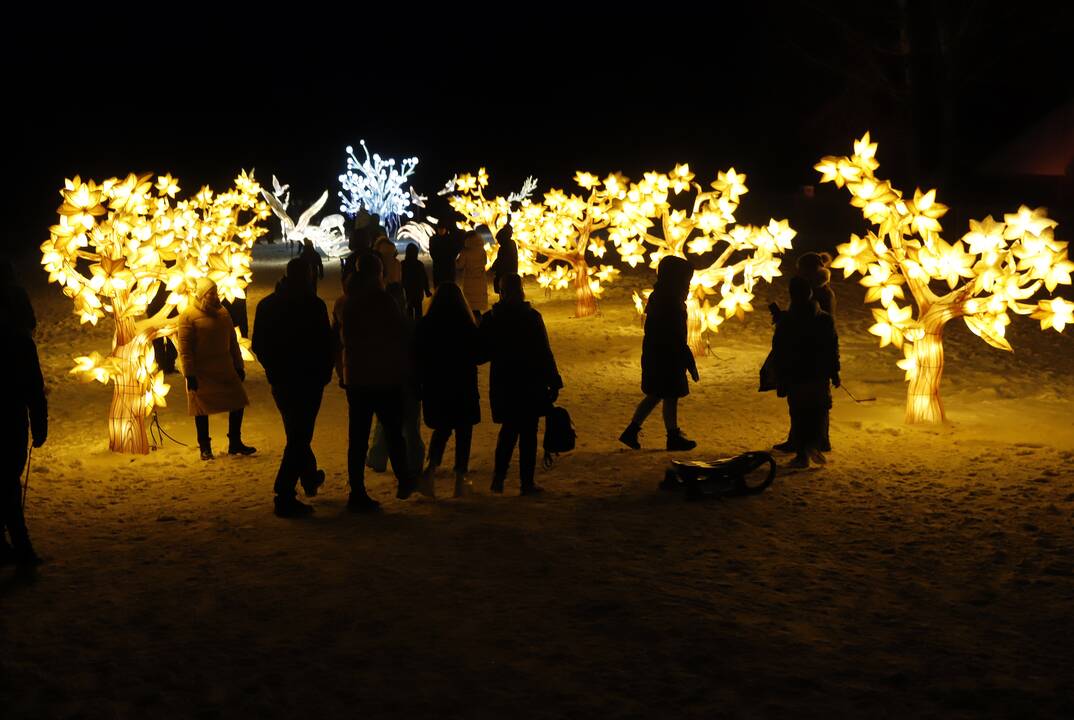 „1000 šviesų“ festivalis Rumšiškėse