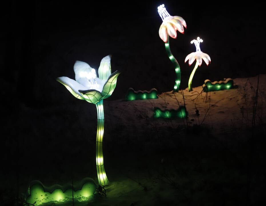 „1000 šviesų“ festivalis Rumšiškėse