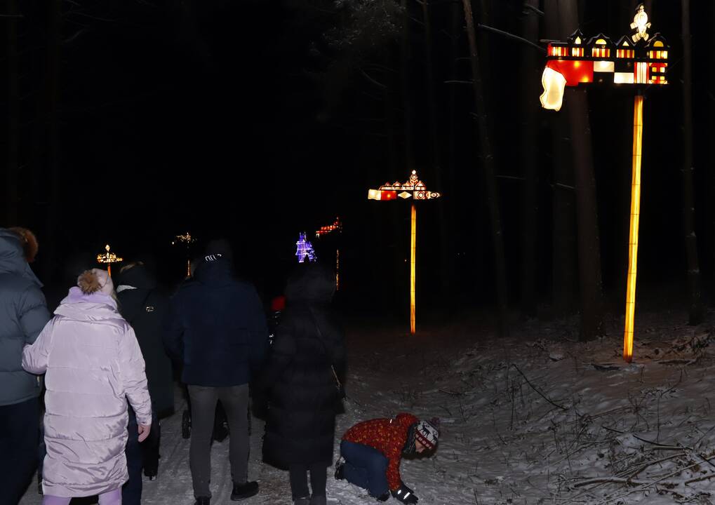 „1000 šviesų“ festivalis Rumšiškėse