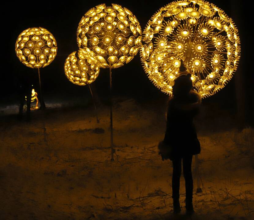 „1000 šviesų“ festivalis Rumšiškėse