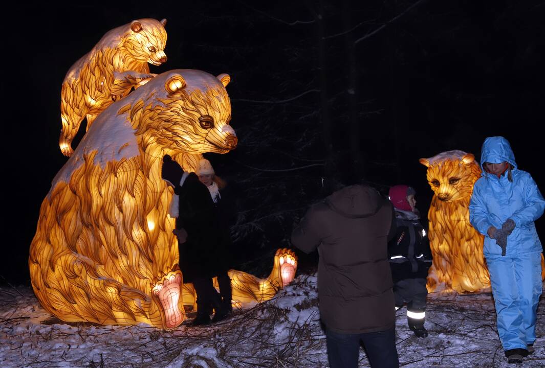 „1000 šviesų“ festivalis Rumšiškėse