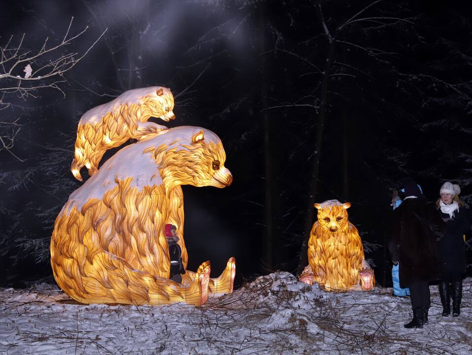 „1000 šviesų“ festivalis Rumšiškėse