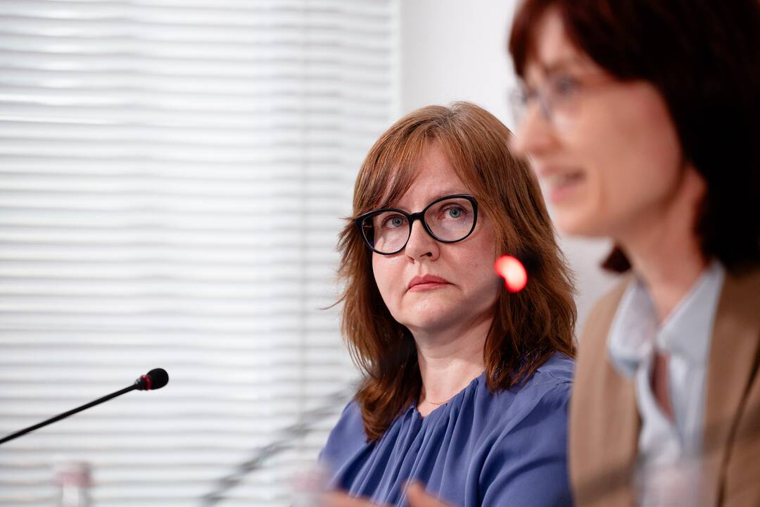 Spaudos konferencija apie artėjančius EP rinkimus