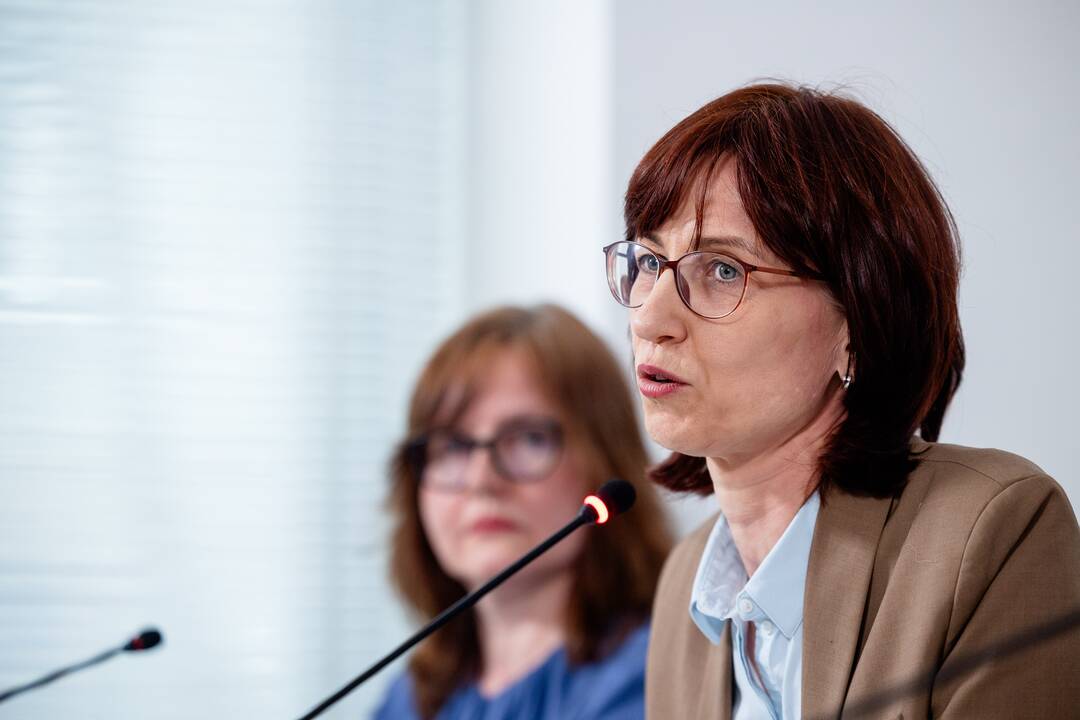 Spaudos konferencija apie artėjančius EP rinkimus