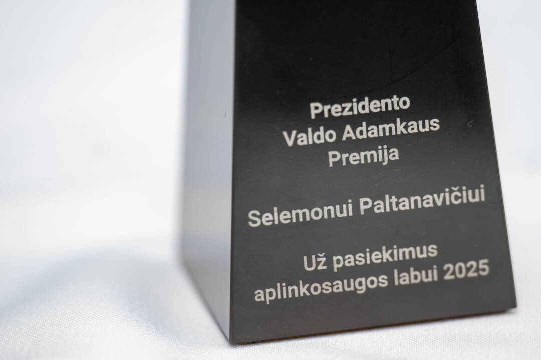 Valdas Adamkus (kairėje) ir Selemonas Paltanavičius