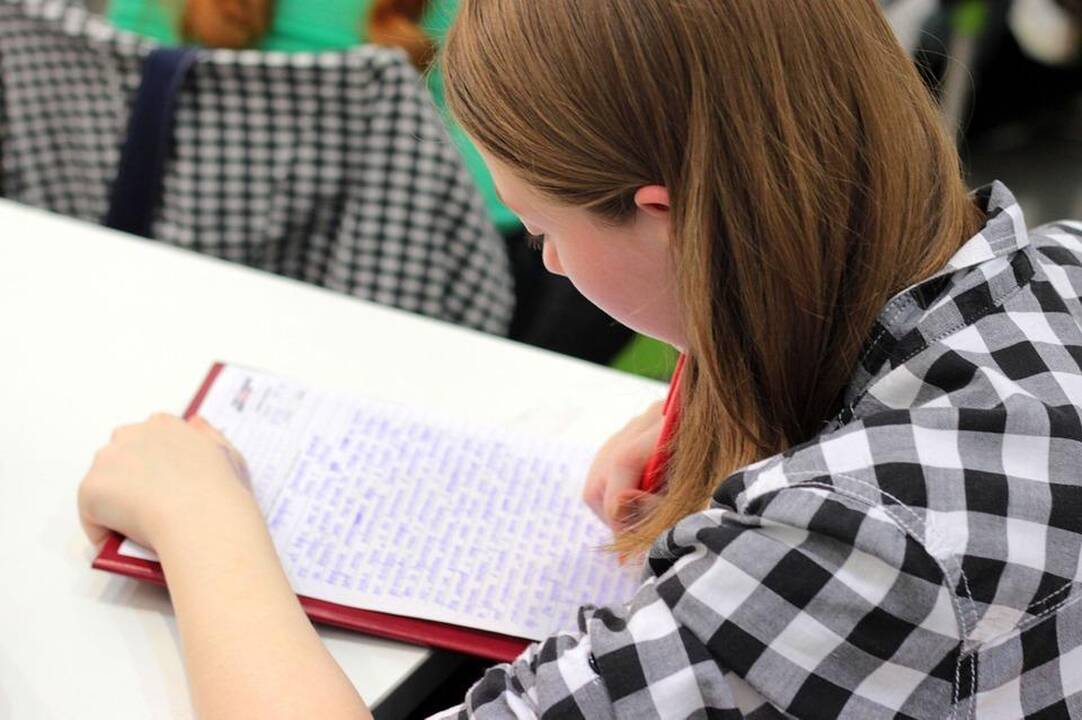 Dešimtokų lietuvių kalbos patikrinimą išlaikė 94 proc. mokinių