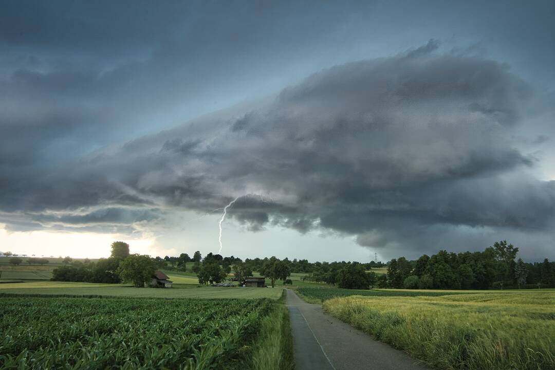 Čekijoje į medį trenkęs žaibas sužeidė 18 žmonių
