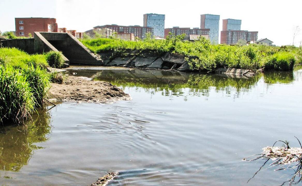 Vieta: Smeltalės upė ties Klaipėdos miesto lietaus vandens surinkimo kolektoriumi.