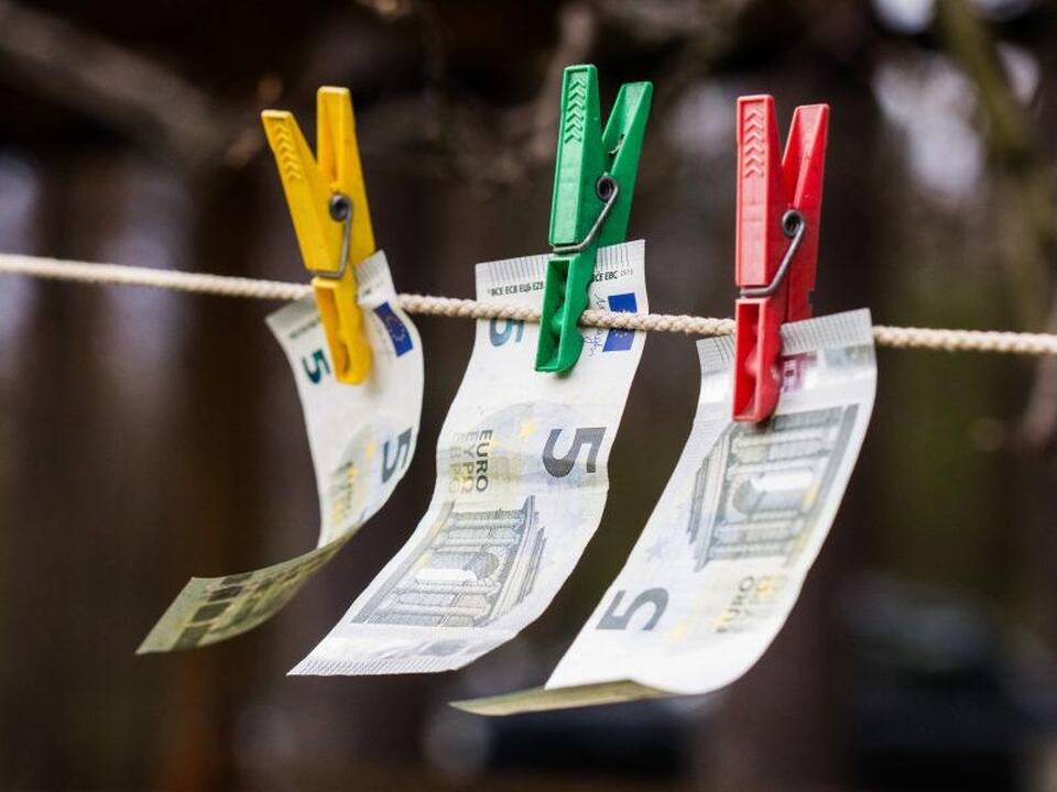 Ekonomistas: visi bankai plauna pinigus, tačiau viskas priklauso nuo masto