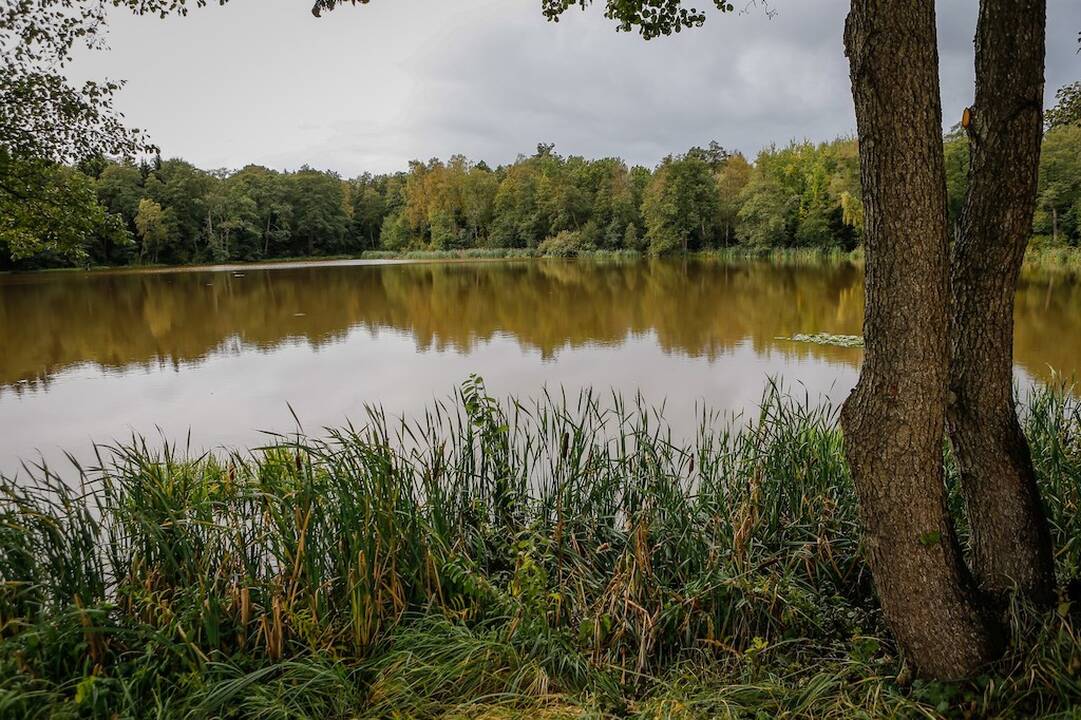 Apsisprendė: po beveik penkerių metų diskusijų pagaliau nuspręsta ne vieną pavadinimą turėjusį ežerą šalia Dragūnų kvartalo pavadinti Aulaukiu.