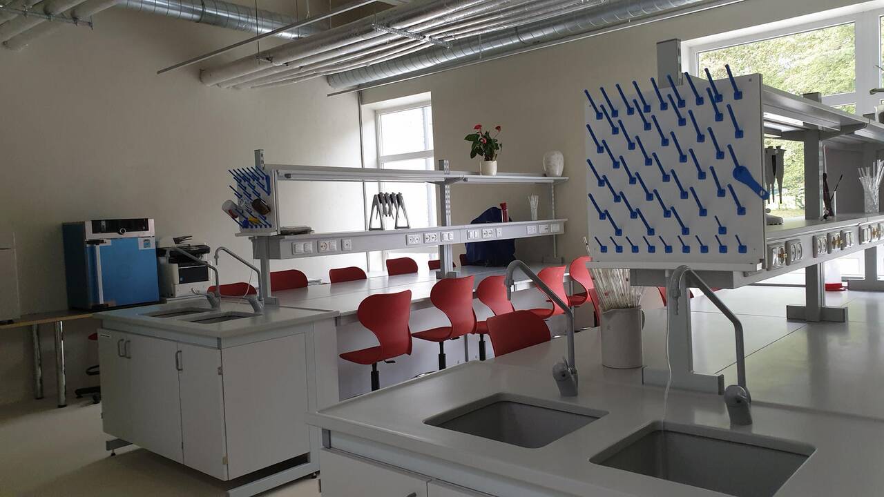 Privalumai: Klaipėdos licėjus garsėja ne tik inovacijomis bei tarptautinio bakalaureato programa, bet ir universaliomis sąlygomis įgyti puikiai vertinamą išsilavinimą.