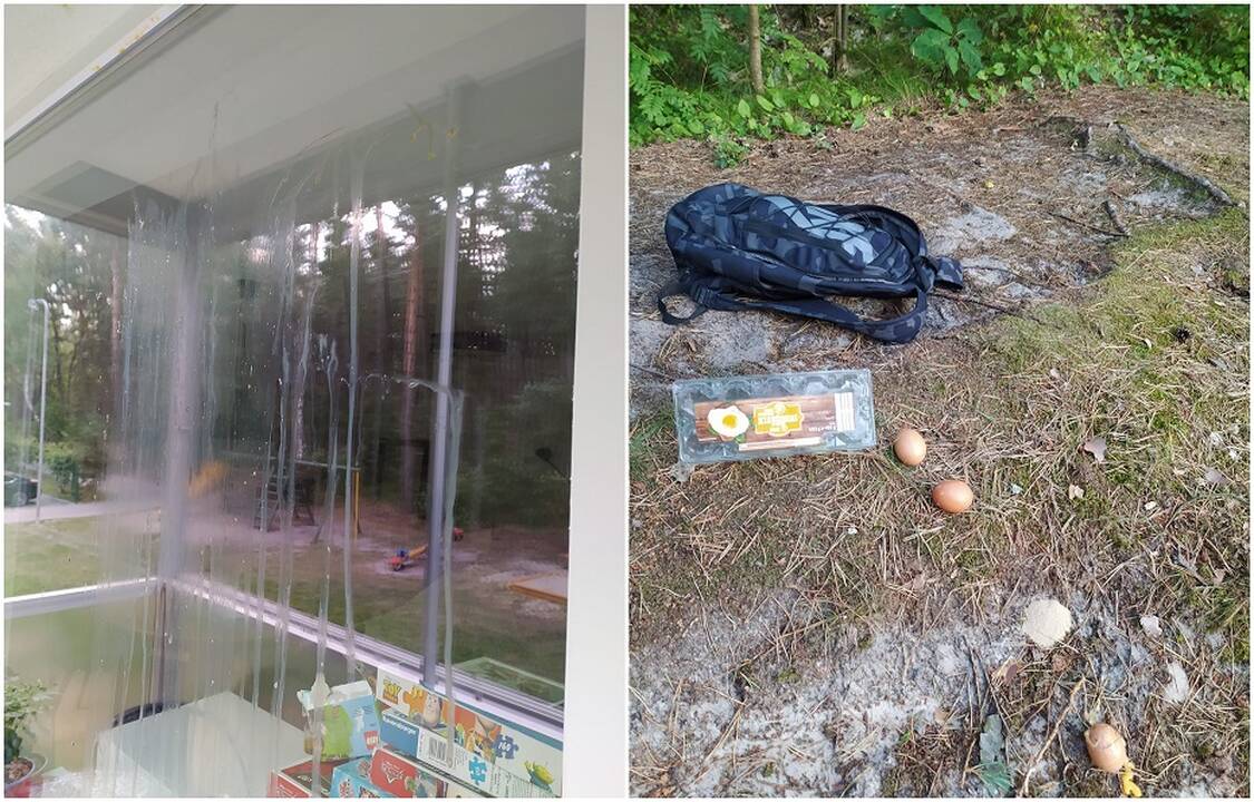 Įžūlumas: Dragūnų kvartalo gyventojai neapsikentė – mikrorajone siautėjančią paauglių grupę žada sučiupti ir perduoti policijai.