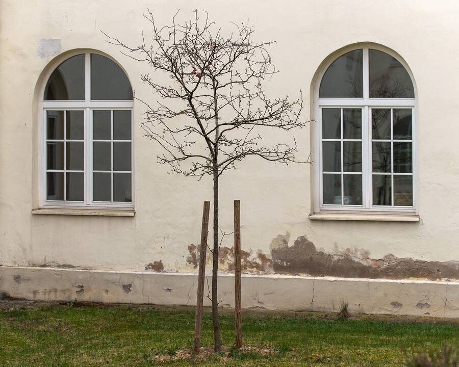 Vienybė: Vilniuje, Antakalnyje, stovinti Išganytojo bažnyčia su trinitorių vienuolynu ir Sapiegų rūmais kadaise sudarė didingą ansamblį.