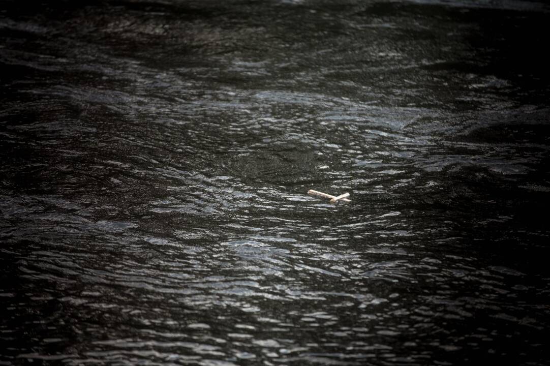 Valdos: T. Kolesinskas dirba gidu vadinamajame Edradynate – maždaug 6 km Tėjaus upės ruože.