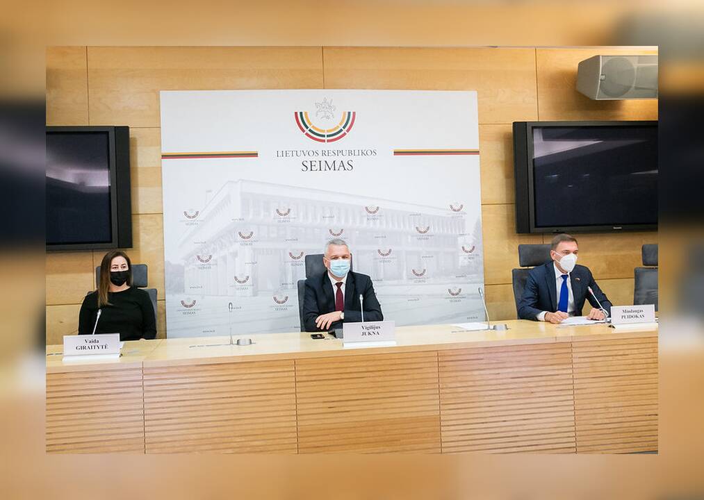 Darbo partijos frakcija Seime kuria darbo grupę dėl sveikatos paslaugų suteikimo ir prieinamumo