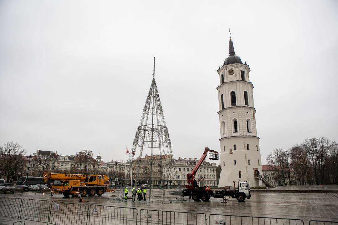 Katedros aikštėje pradėta statyti Vilniaus Kalėdų eglė