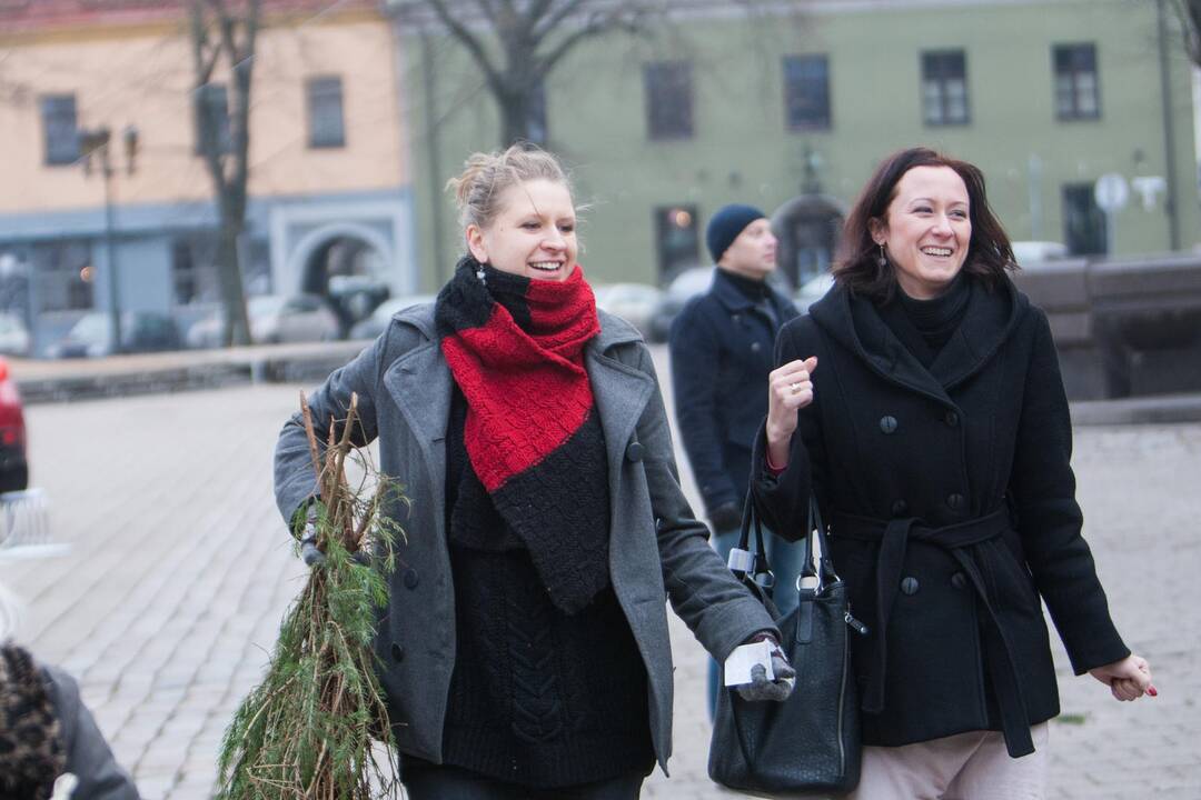 Eglučių šakų dalinimas Rotušės aikštėje