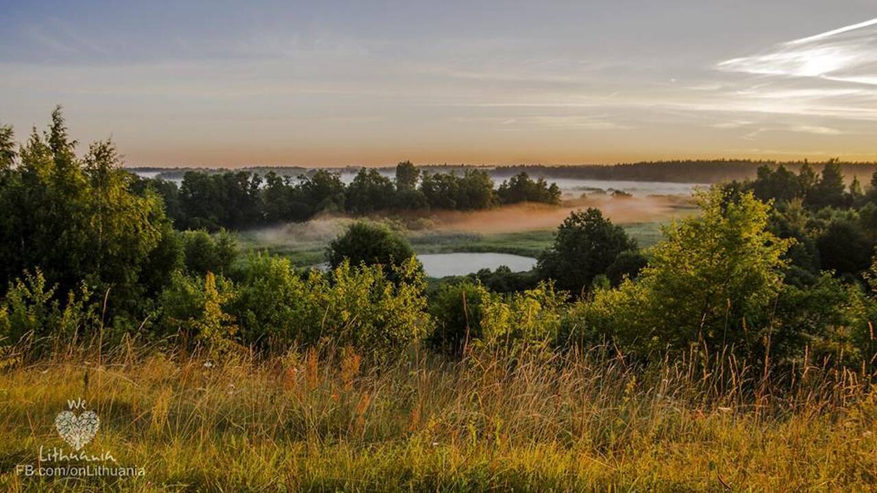 Keletas nuotraukų iš "We love Lithuania"