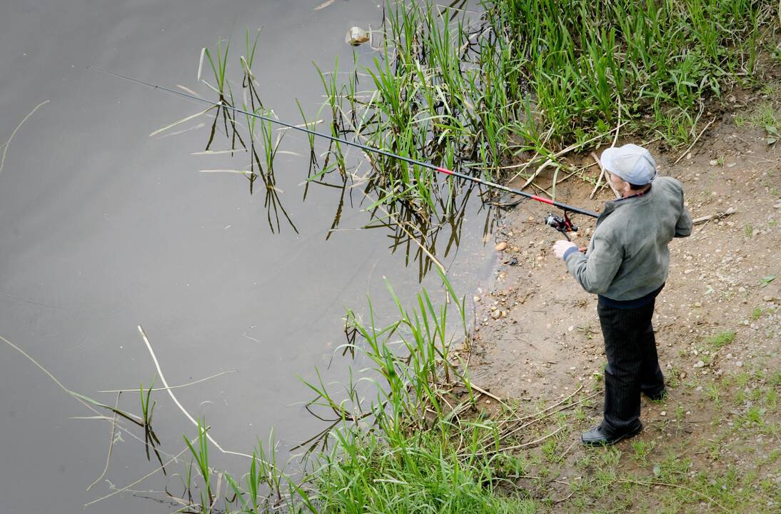 Žuvų migracijos laikotarpiu – apribojimai žvejams