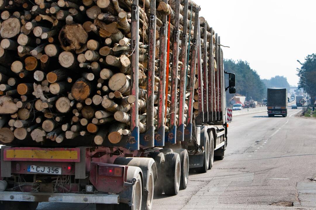 Miškovežių avarijos pernai išaugo pusantro karto