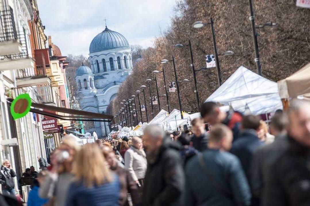 Kaune ir vėl šurmuliuos pavasario mugė (kviečia registruotis)