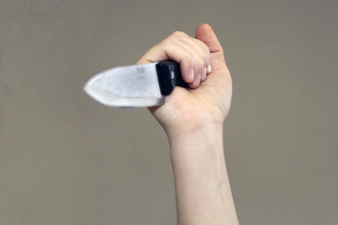 Smurto protrūkis Pasvalio rajone: moteris peiliu sužalojo vyrą