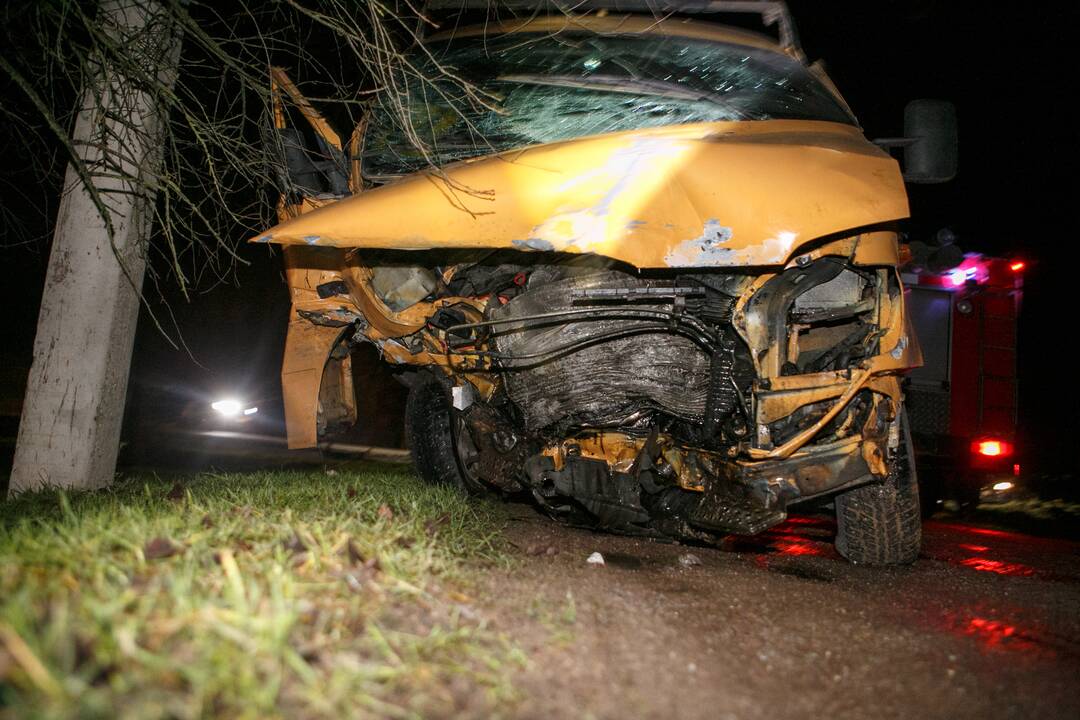 Per mikroautobusų avariją nukentėjo devyni žmonės: kaltas laukinis gyvūnas?