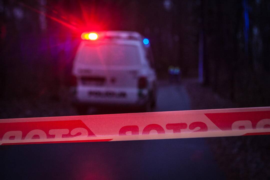 Dėl sprogmens Kleboniškio miške – tarnybų sujudimas