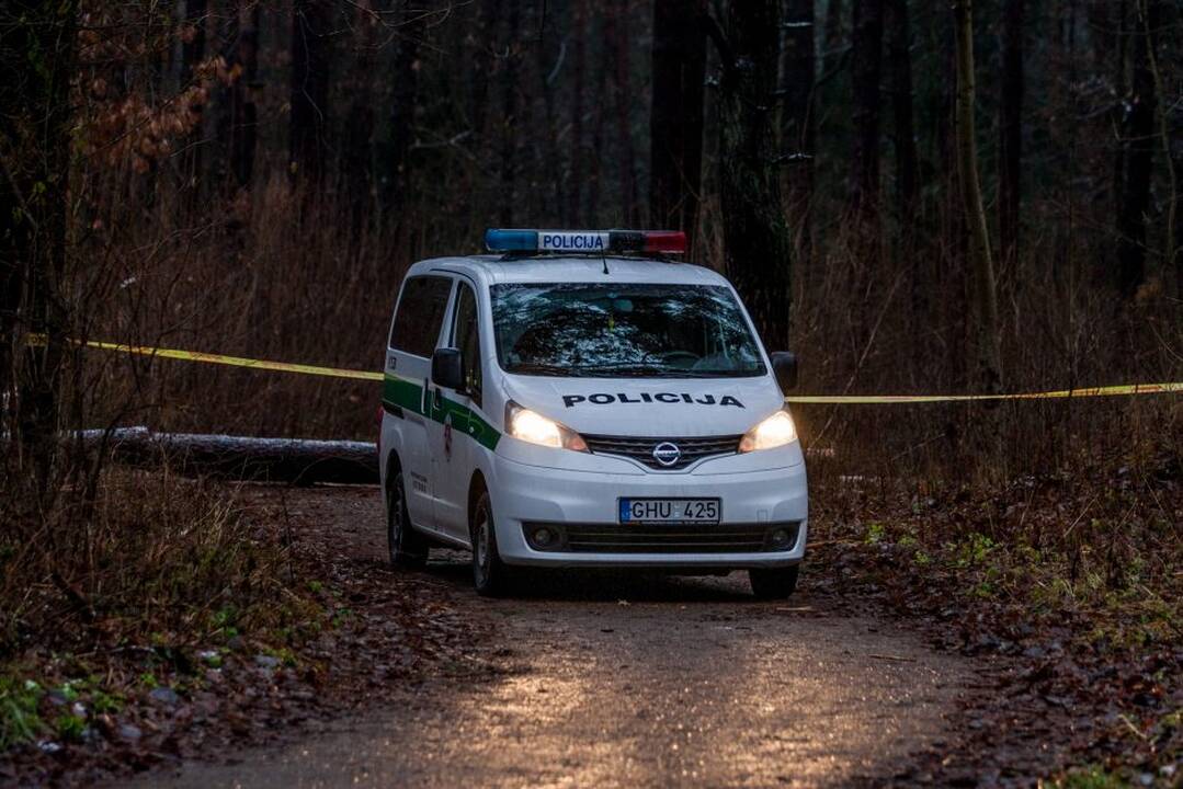 Sėkminga paieškų operacija: paklydusi moteris rasta einanti karinių lėktuvų pakilimo taku