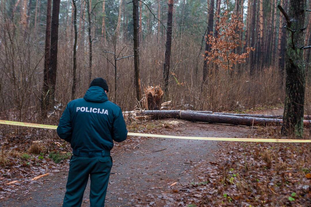 Dėl sprogmens Kleboniškio miške – tarnybų sujudimas