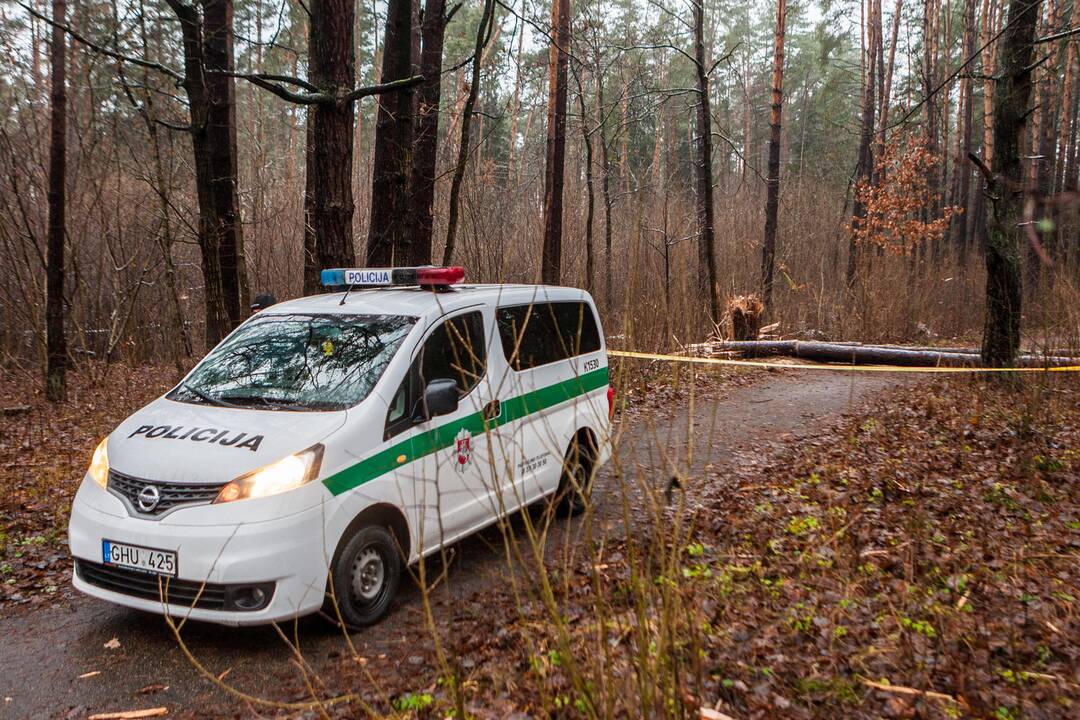 Dėl sprogmens Kleboniškio miške – tarnybų sujudimas