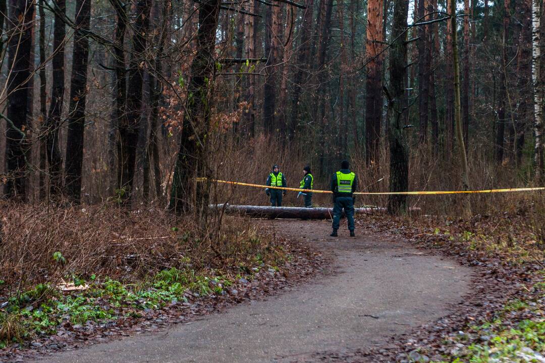 Dėl sprogmens Kleboniškio miške – tarnybų sujudimas