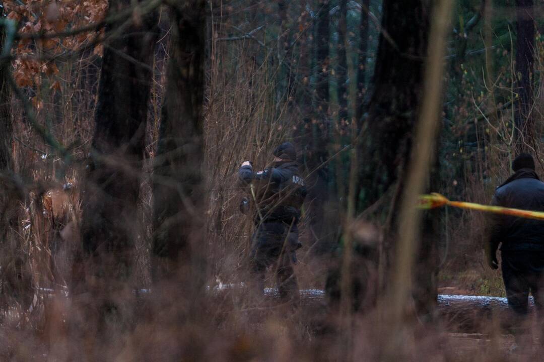 Dėl sprogmens Kleboniškio miške – tarnybų sujudimas