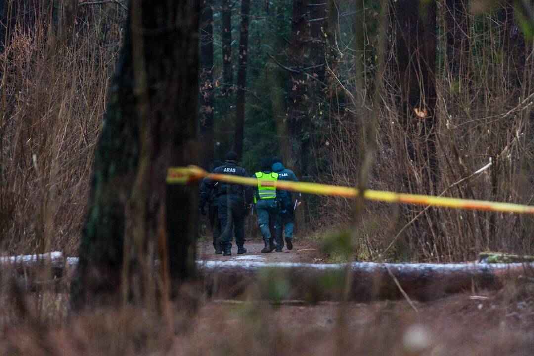 Dėl sprogmens Kleboniškio miške – tarnybų sujudimas