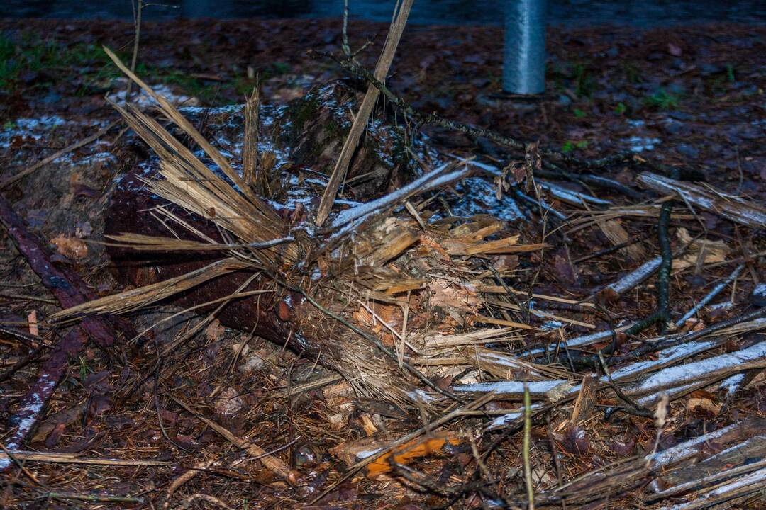 Dėl sprogmens Kleboniškio miške – tarnybų sujudimas