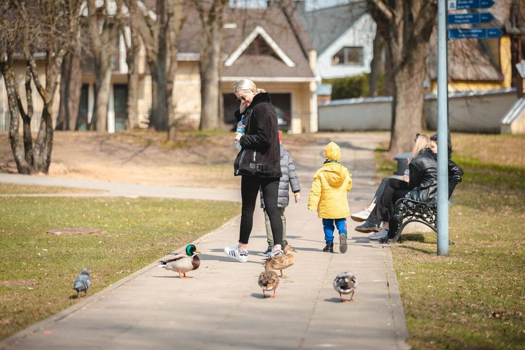 Pavasaris vis dar šykšti šilumos – ja mėgausimės tik kelias dienas