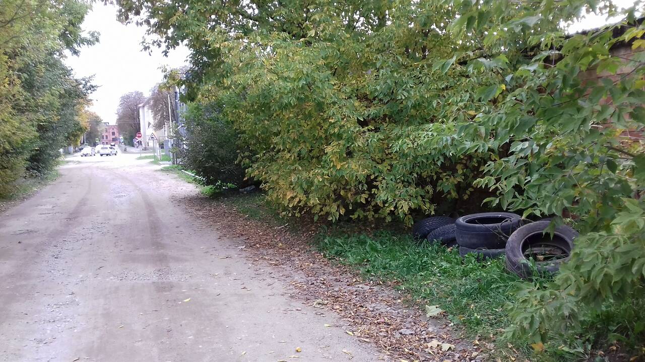 Pastangos: konkurso „Gamtos sekliai“ dalyviai užfiksavo neteisėtą sąvartyną vienoje Šančių gatvėje.