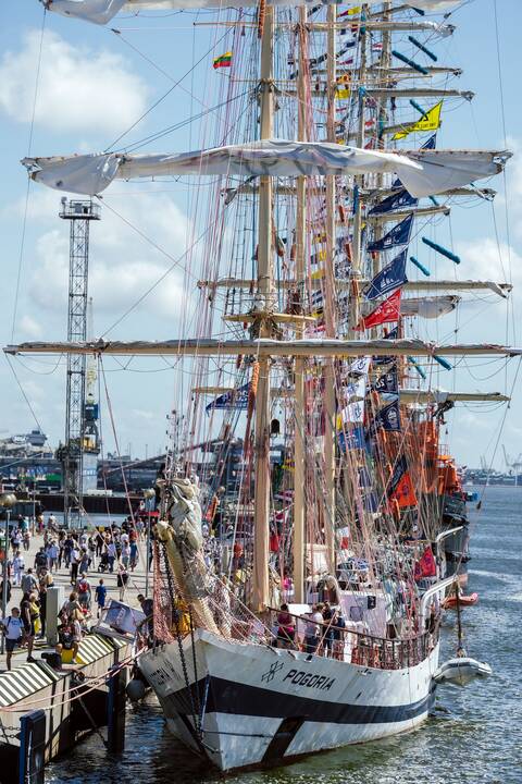 „The Tall Ships Races“ Klaipėdoje: renginių akimirkos
