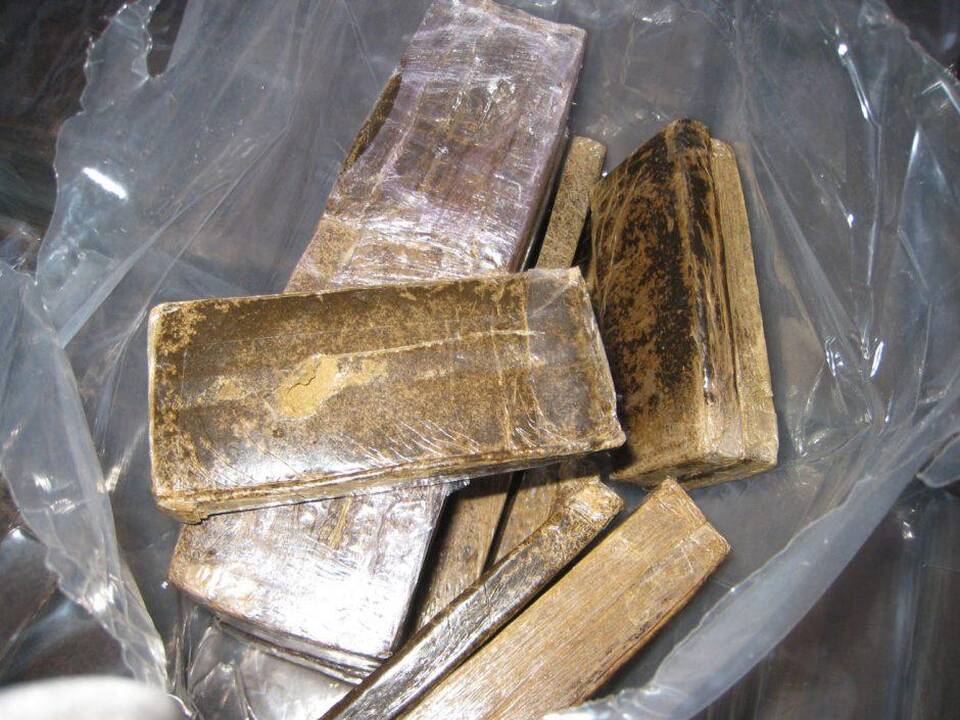 Asociatyvi nuotr.
