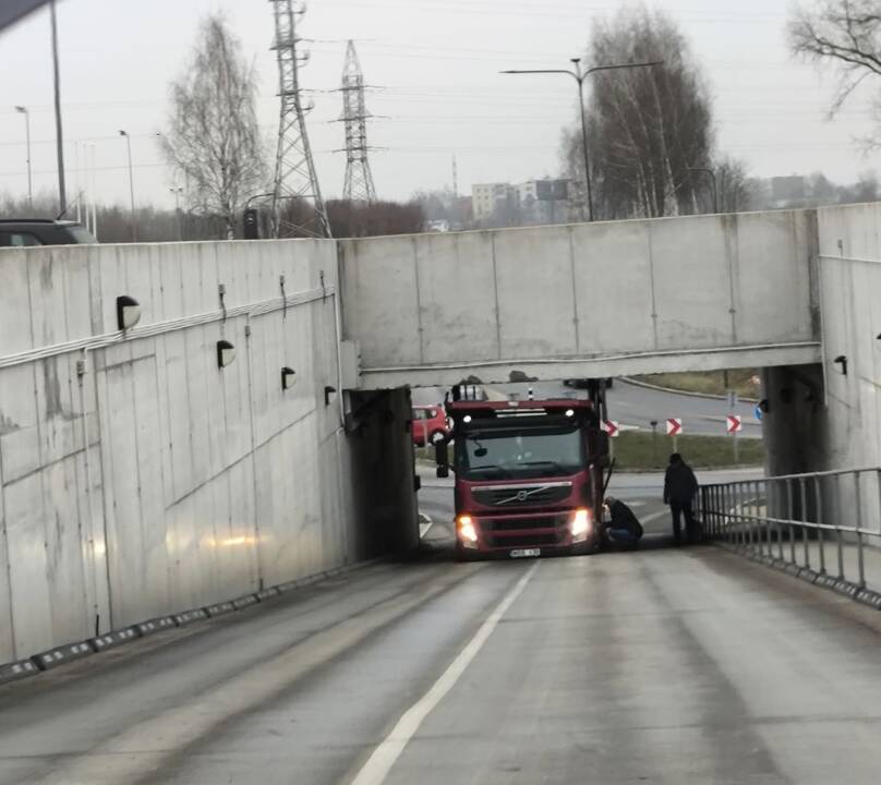 Vilkikas įstrigo, bet vairuotojas rado išeitį