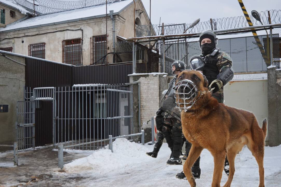Pravieniškių kaliniai vėl tikrino pareigūnų budrumą: užsiminus apie granatą, prireikė kinologo